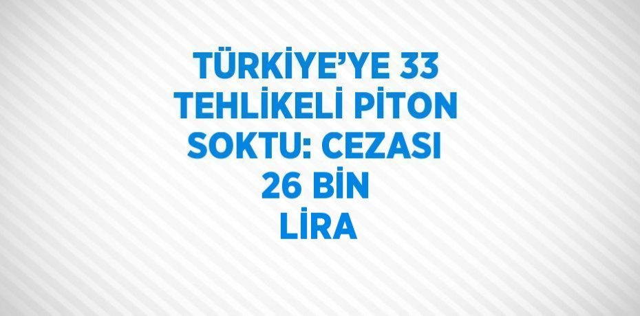 TÜRKİYE’YE 33 TEHLİKELİ PİTON SOKTU: CEZASI 26 BİN LİRA