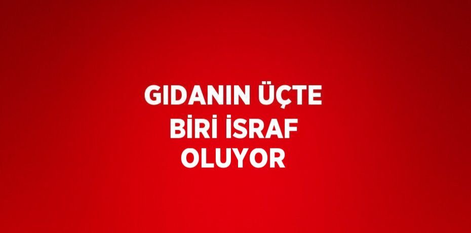 GIDANIN ÜÇTE BİRİ İSRAF OLUYOR
