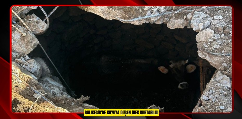 Balıkesir'de kuyuya düşen inek kurtarıldı  