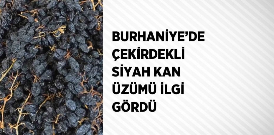 BURHANİYE’DE ÇEKİRDEKLİ SİYAH KAN ÜZÜMÜ İLGİ GÖRDÜ
