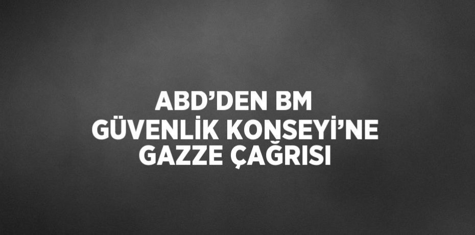 ABD’DEN BM GÜVENLİK KONSEYİ’NE GAZZE ÇAĞRISI
