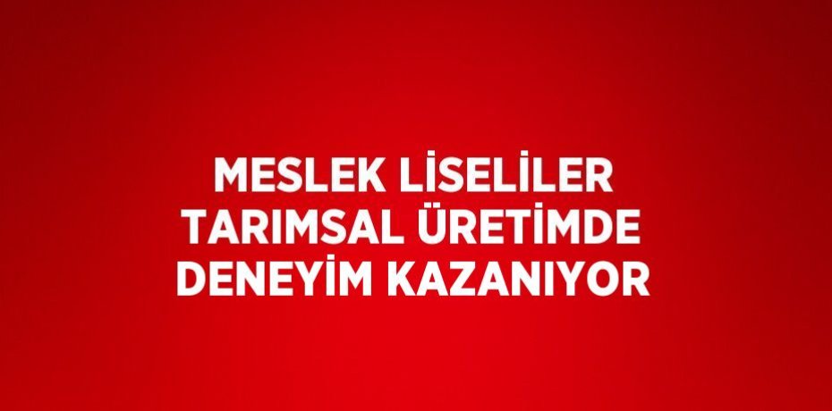 MESLEK LİSELİLER TARIMSAL ÜRETİMDE DENEYİM KAZANIYOR
