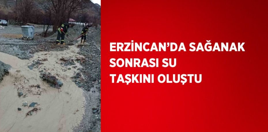 ERZİNCAN’DA SAĞANAK SONRASI SU TAŞKINI OLUŞTU