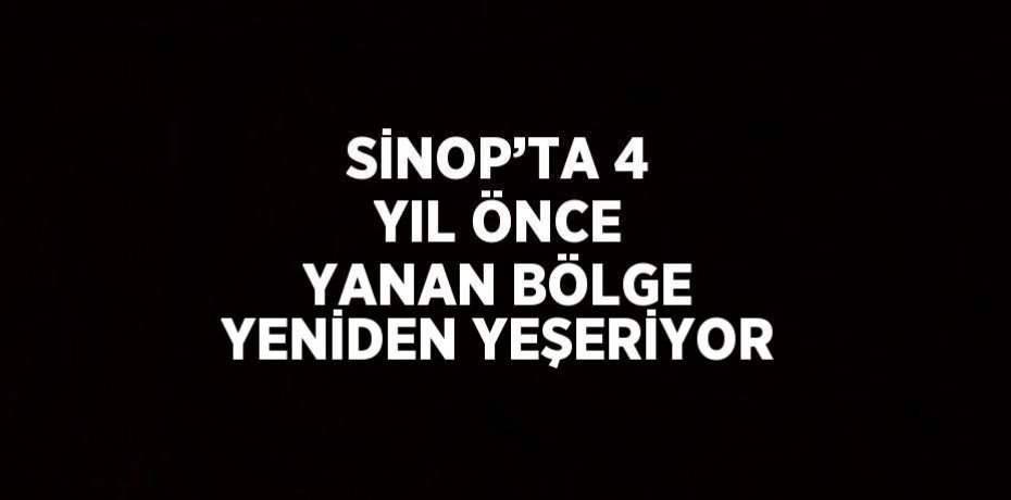 SİNOP’TA 4 YIL ÖNCE YANAN BÖLGE YENİDEN YEŞERİYOR