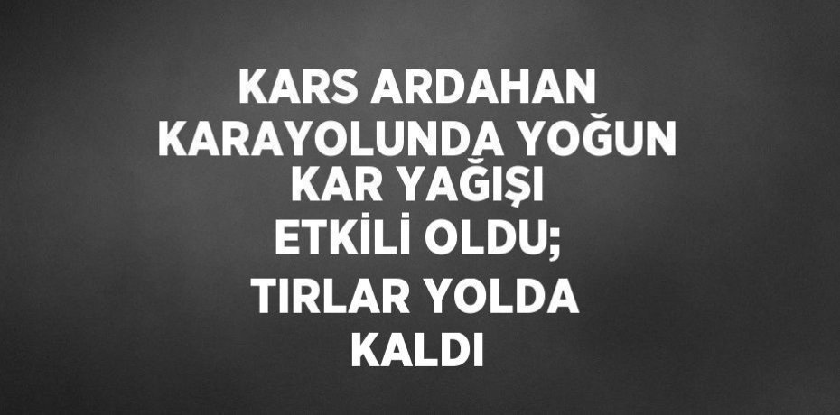 KARS ARDAHAN KARAYOLUNDA YOĞUN KAR YAĞIŞI ETKİLİ OLDU; TIRLAR YOLDA KALDI