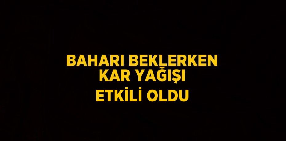 BAHARI BEKLERKEN KAR YAĞIŞI ETKİLİ OLDU