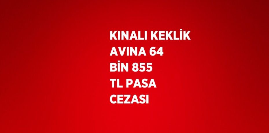 KINALI KEKLİK AVINA 64 BİN 855 TL PASA CEZASI