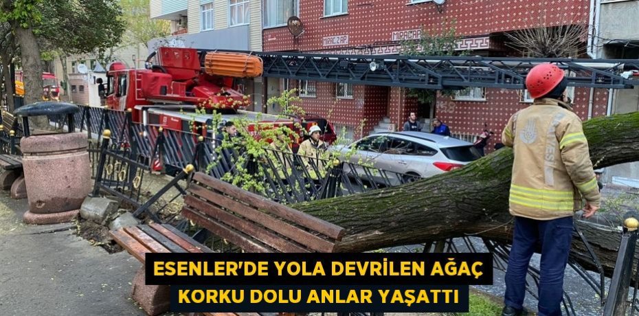 Esenler’de yola devrilen ağaç korku dolu anlar yaşattı
