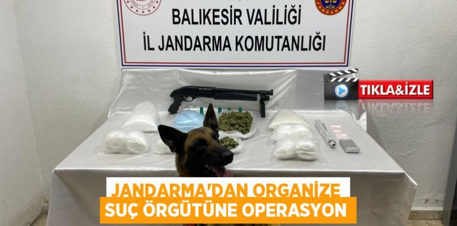 JANDARMA'DAN ORGANİZE SUÇ ÖRGÜTÜNE OPERASYON