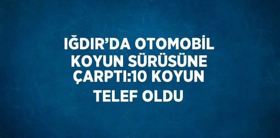 IĞDIR’DA OTOMOBİL KOYUN SÜRÜSÜNE ÇARPTI:10 KOYUN TELEF OLDU
