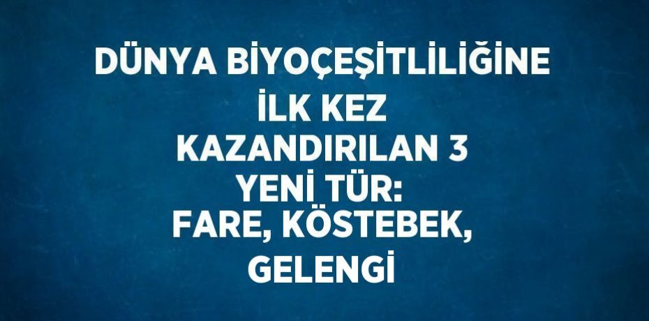DÜNYA BİYOÇEŞİTLİLİĞİNE İLK KEZ KAZANDIRILAN 3 YENİ TÜR: FARE, KÖSTEBEK, GELENGİ