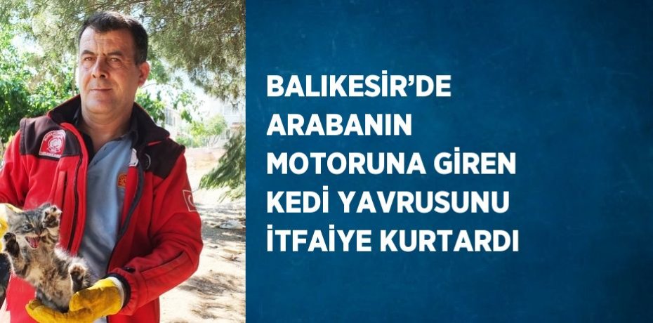 BALIKESİR’DE ARABANIN MOTORUNA GİREN KEDİ YAVRUSUNU İTFAİYE KURTARDI
