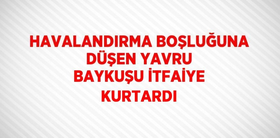 HAVALANDIRMA BOŞLUĞUNA DÜŞEN YAVRU BAYKUŞU İTFAİYE KURTARDI