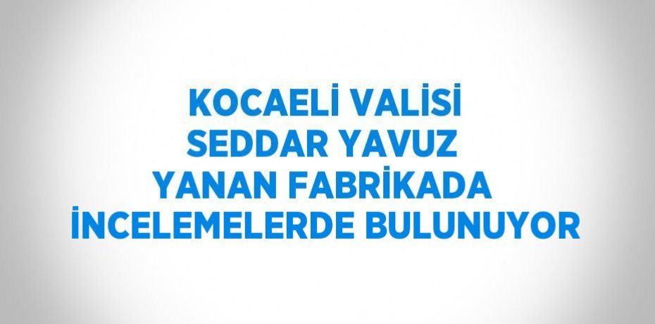 KOCAELİ VALİSİ SEDDAR YAVUZ YANAN FABRİKADA İNCELEMELERDE BULUNUYOR
