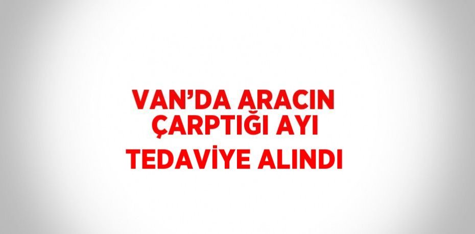 VAN’DA ARACIN ÇARPTIĞI AYI TEDAVİYE ALINDI