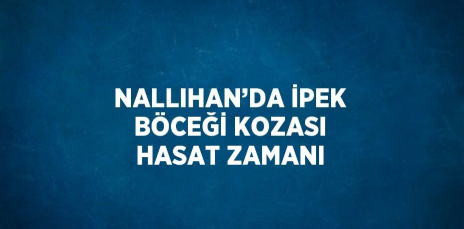 NALLIHAN’DA İPEK BÖCEĞİ KOZASI HASAT ZAMANI