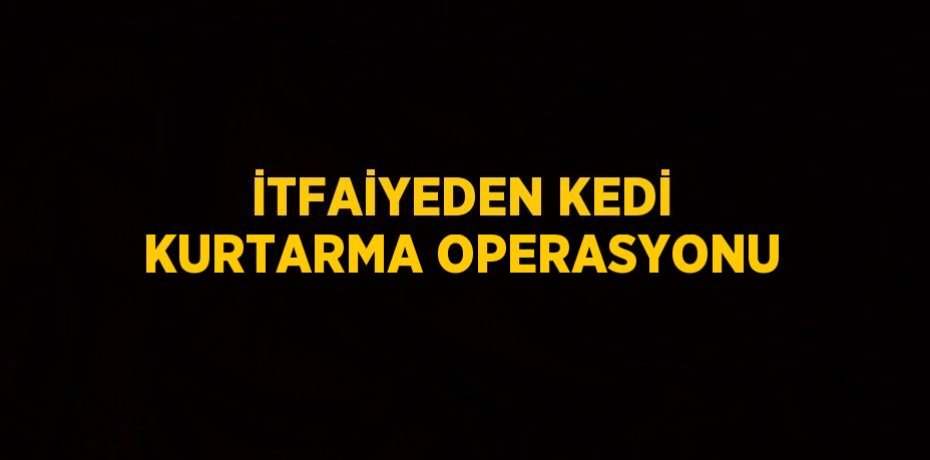 İTFAİYEDEN KEDİ KURTARMA OPERASYONU