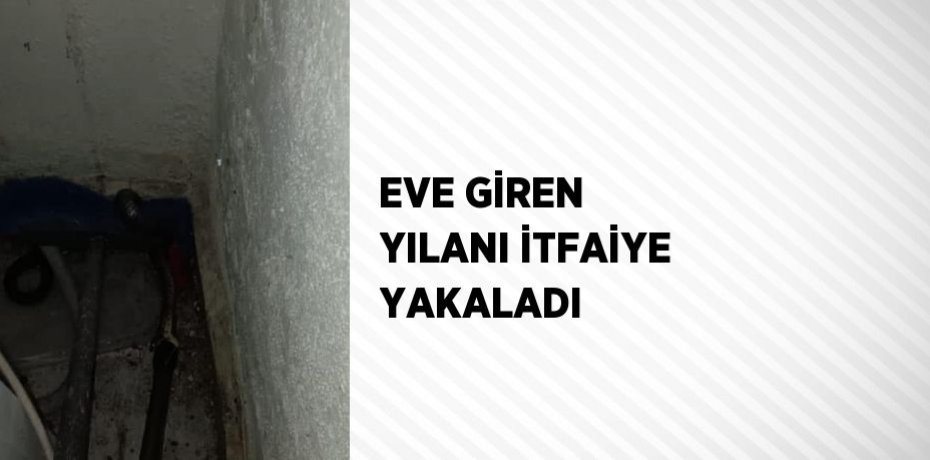 EVE GİREN YILANI İTFAİYE YAKALADI