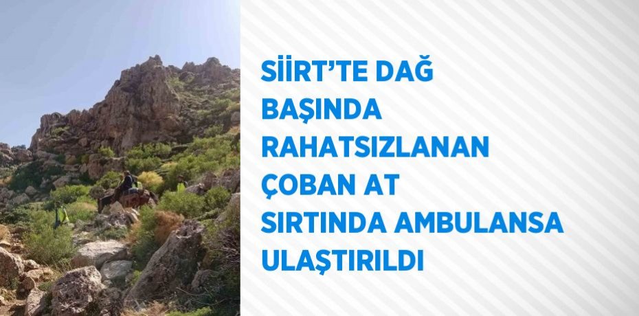 SİİRT’TE DAĞ BAŞINDA RAHATSIZLANAN ÇOBAN AT SIRTINDA AMBULANSA ULAŞTIRILDI