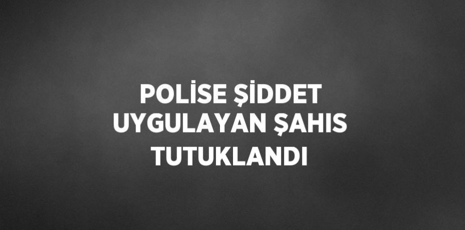 POLİSE ŞİDDET UYGULAYAN ŞAHIS TUTUKLANDI