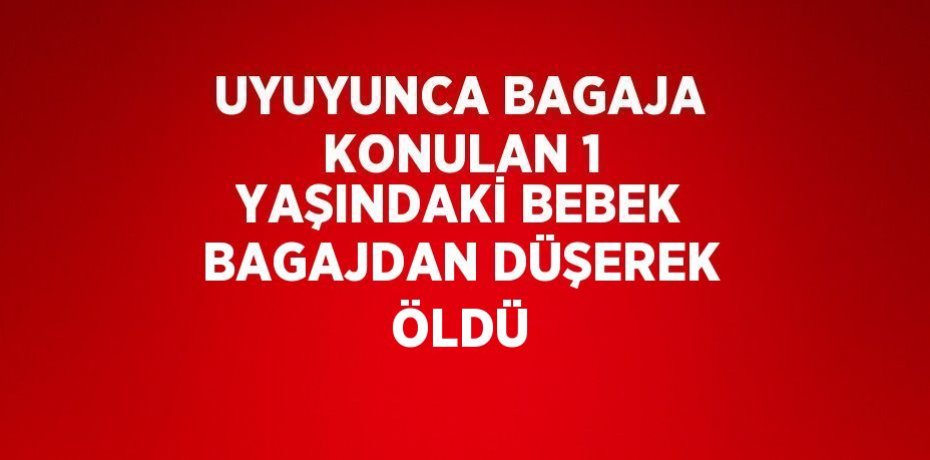 UYUYUNCA BAGAJA KONULAN 1 YAŞINDAKİ BEBEK BAGAJDAN DÜŞEREK ÖLDÜ