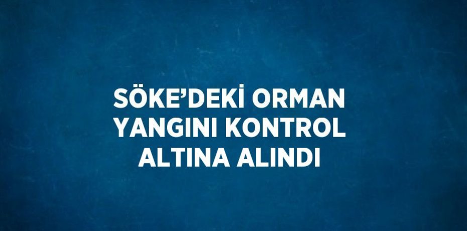 SÖKE’DEKİ ORMAN YANGINI KONTROL ALTINA ALINDI