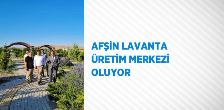 AFŞİN LAVANTA ÜRETİM MERKEZİ OLUYOR