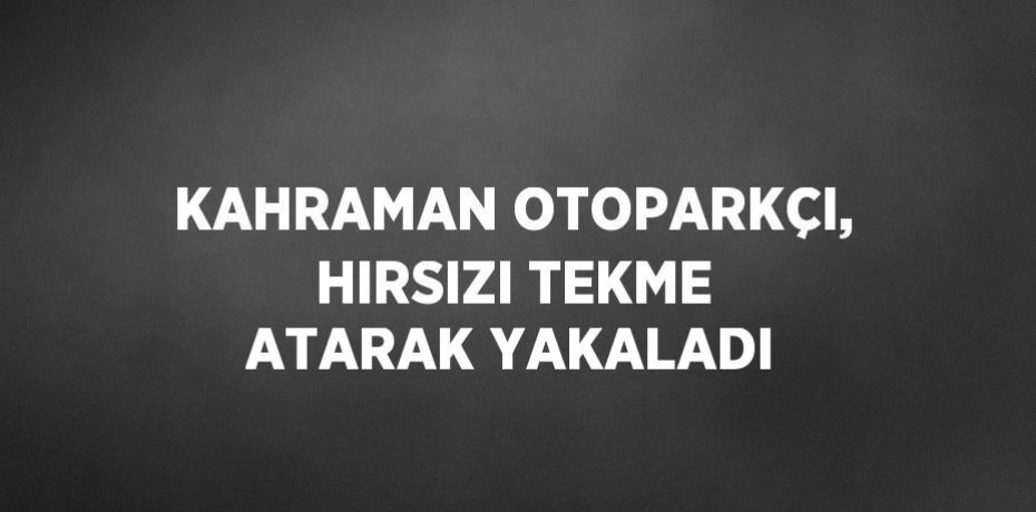 KAHRAMAN OTOPARKÇI, HIRSIZI TEKME ATARAK YAKALADI