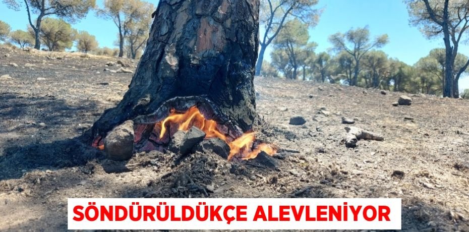 Söndürüldükçe alevleniyor