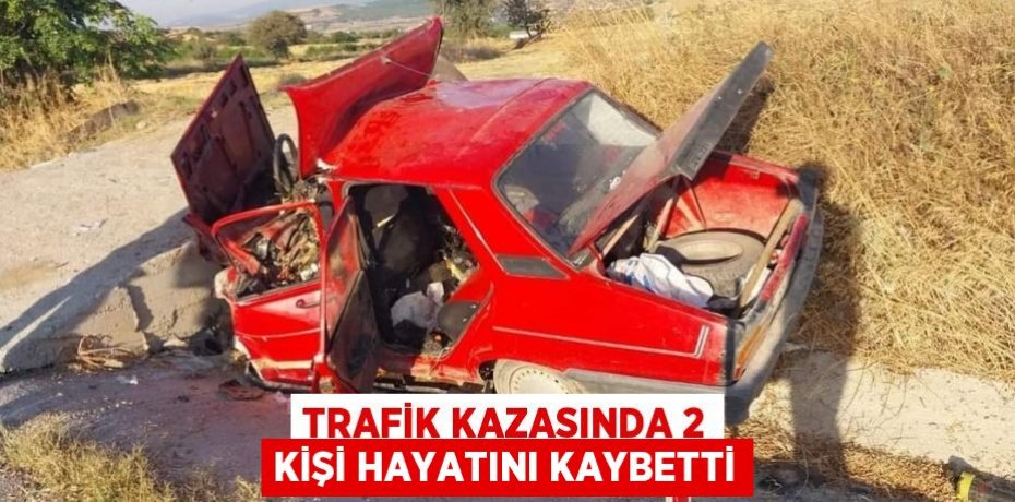 Trafik kazasında 2 kişi hayatını kaybetti