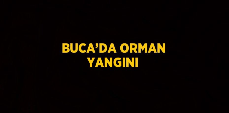 BUCA’DA ORMAN YANGINI
