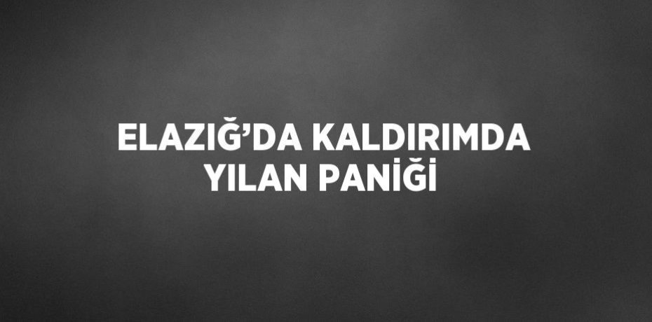ELAZIĞ’DA KALDIRIMDA YILAN PANİĞİ
