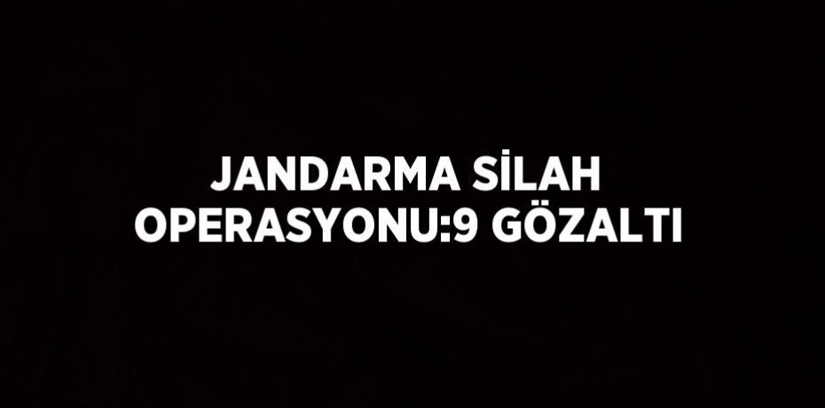 JANDARMA SİLAH OPERASYONU:9 GÖZALTI