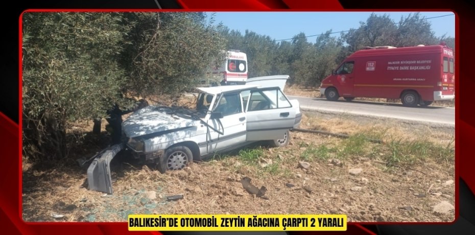 Balıkesir’de otomobil zeytin ağacına çarptı: 2 yaralı
