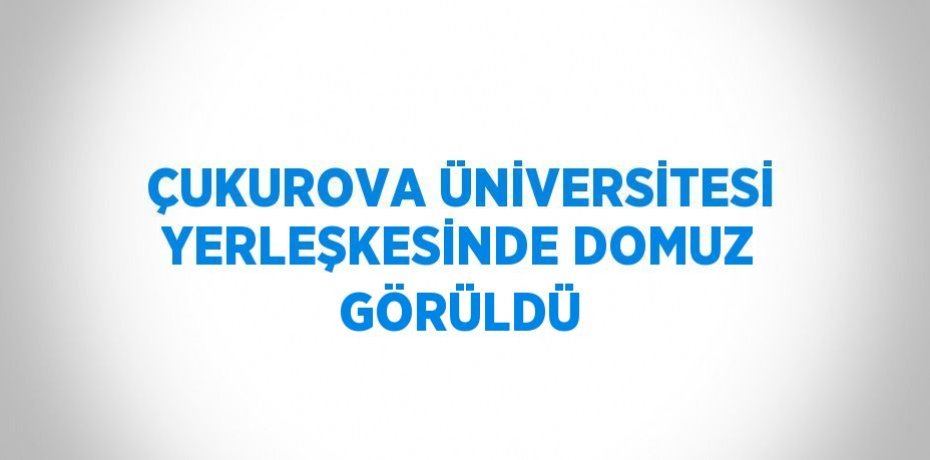 ÇUKUROVA ÜNİVERSİTESİ YERLEŞKESİNDE DOMUZ GÖRÜLDÜ