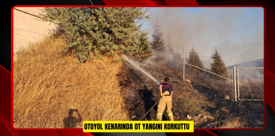 Otoyol kenarında ot yangını korkuttu  Otoyol kenarında ot yangını korkuttu  