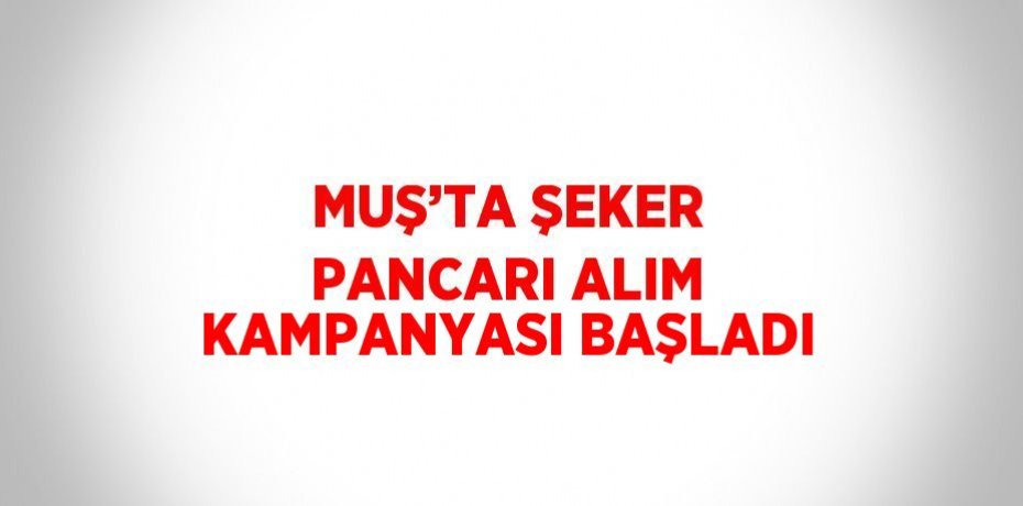 MUŞ’TA ŞEKER PANCARI ALIM KAMPANYASI BAŞLADI