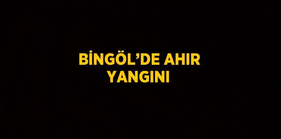 BİNGÖL’DE AHIR YANGINI