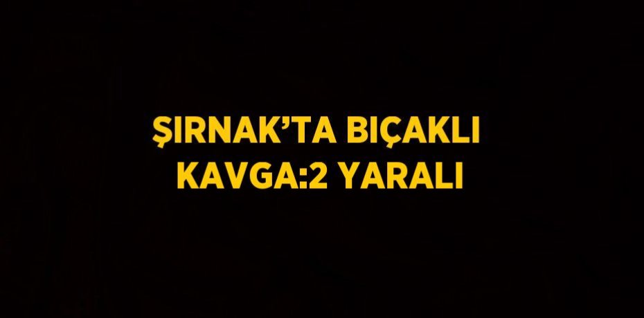 ŞIRNAK’TA BIÇAKLI KAVGA:2 YARALI