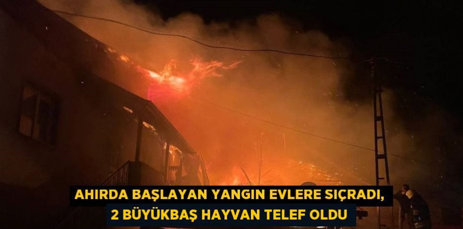 AHIRDA BAŞLAYAN YANGIN EVLERE SIÇRADI, 2 BÜYÜKBAŞ HAYVAN TELEF OLDU