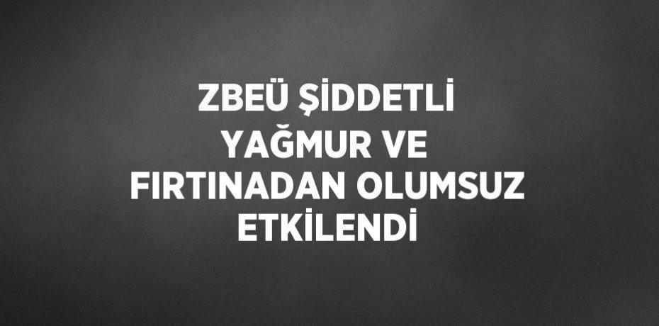 ZBEÜ ŞİDDETLİ YAĞMUR VE FIRTINADAN OLUMSUZ ETKİLENDİ