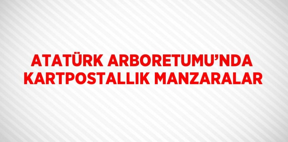 ATATÜRK ARBORETUMU’NDA KARTPOSTALLIK MANZARALAR