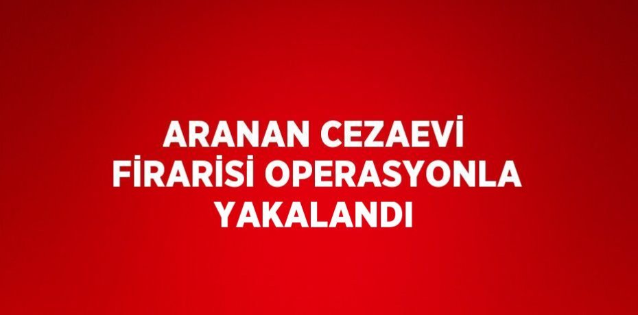 ARANAN CEZAEVİ FİRARİSİ OPERASYONLA YAKALANDI