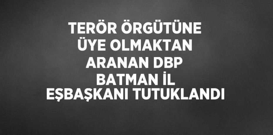 TERÖR ÖRGÜTÜNE ÜYE OLMAKTAN ARANAN DBP BATMAN İL EŞBAŞKANI TUTUKLANDI