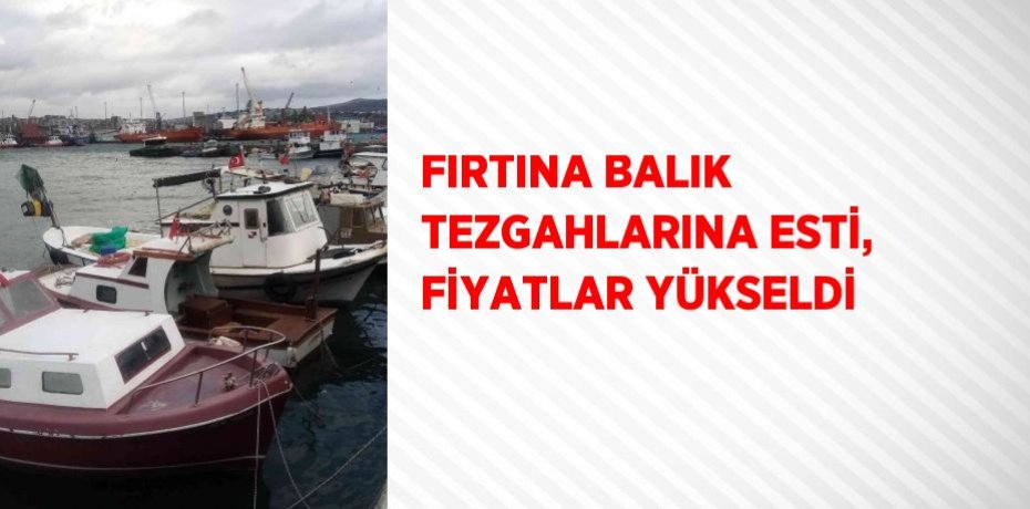 FIRTINA BALIK TEZGAHLARINA ESTİ, FİYATLAR YÜKSELDİ
