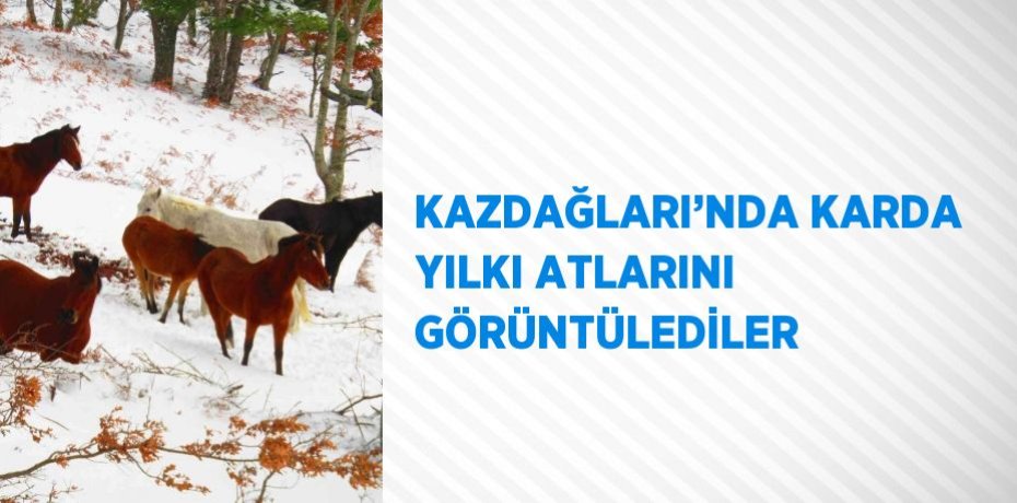 KAZDAĞLARI’NDA KARDA YILKI ATLARINI GÖRÜNTÜLEDİLER