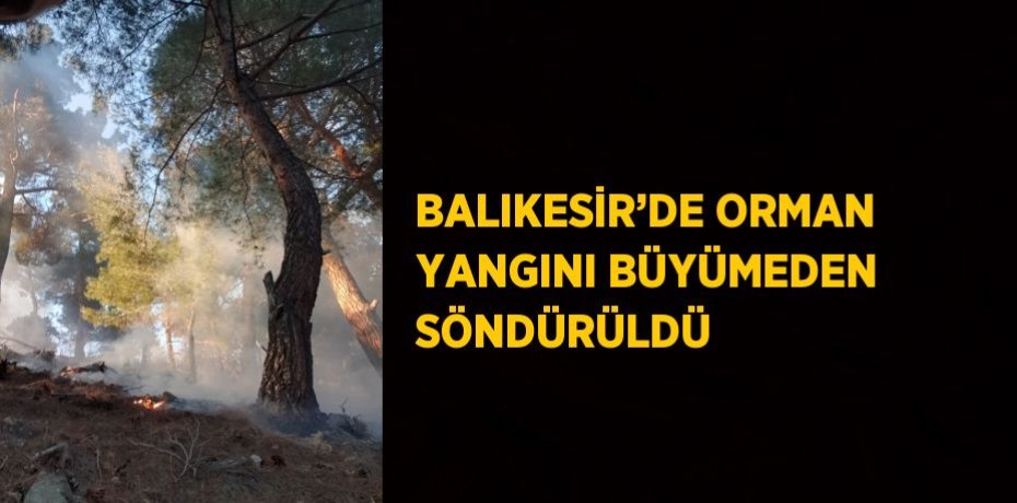 BALIKESİR’DE ORMAN YANGINI BÜYÜMEDEN SÖNDÜRÜLDÜ
