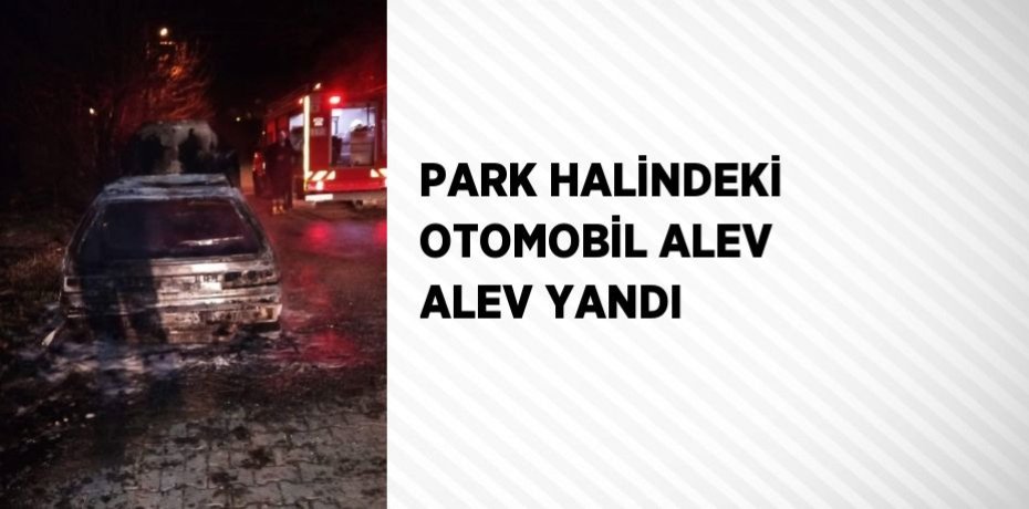 PARK HALİNDEKİ OTOMOBİL ALEV ALEV YANDI