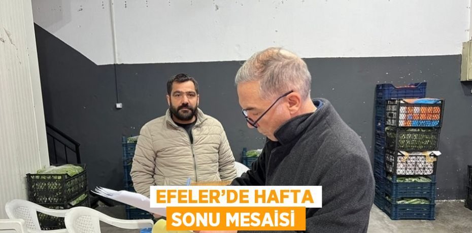 EFELER’DE HAFTA SONU MESAİSİ