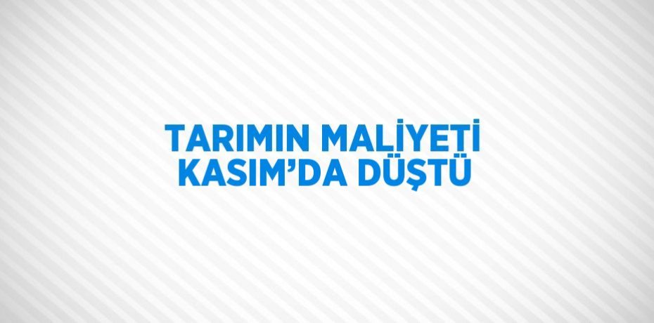 TARIMIN MALİYETİ KASIM’DA DÜŞTÜ
